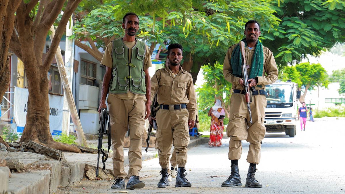 Etiopská armáda tvrdí, že zabila 272 povstalců ze skupiny TPLF
