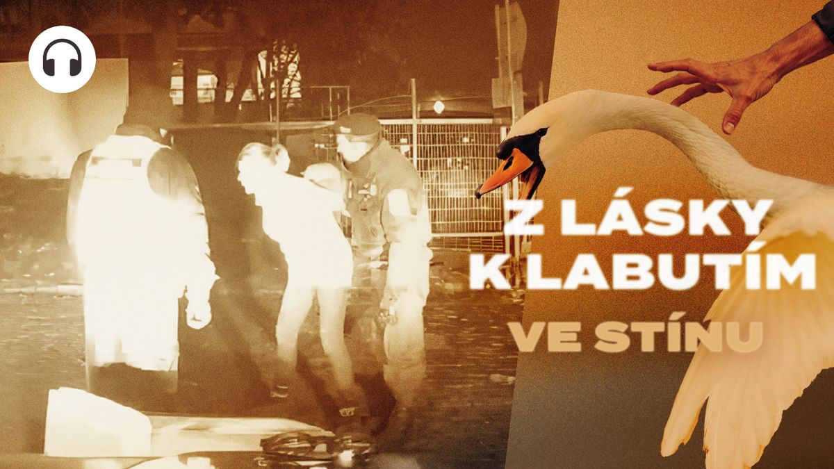 Všechno natočily kamery. Proč se rána pěstí od strážníka řeší už rok a půl