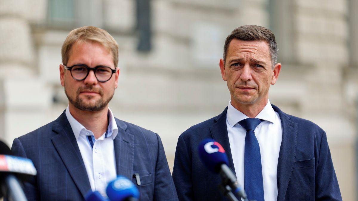 Grolich versus Havel. Spojování sil může znamenat i boj bez rukavic