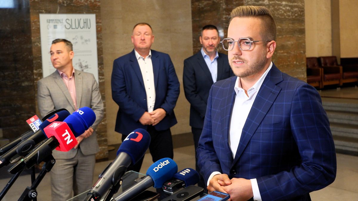 Mohli vládnout městům bez ANO, ale raději se s ním domluvili