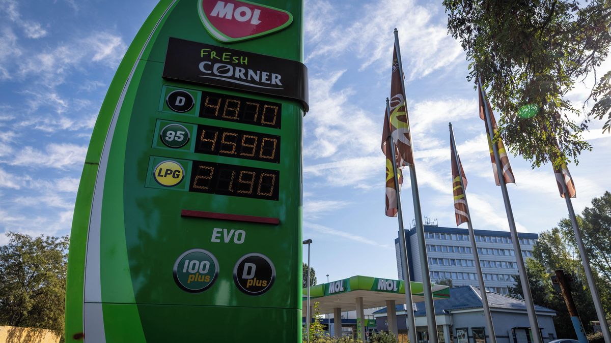 Obrazem: Jak se za jediný den změnily ceny u pump