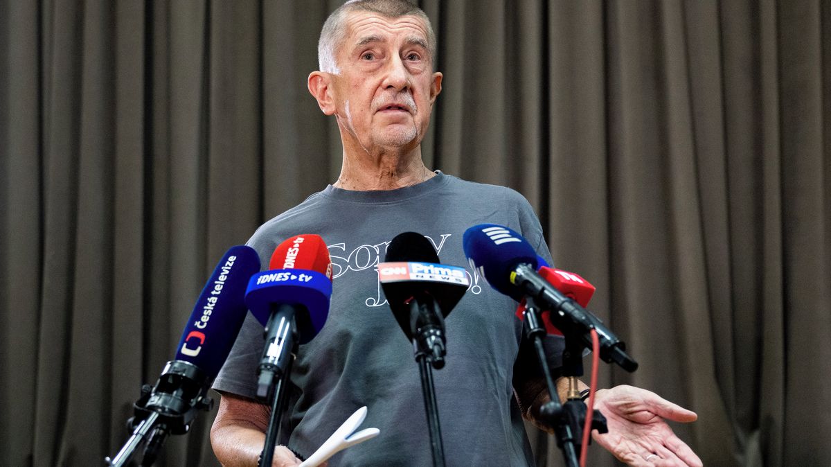 Babišova vláda bude muset dupnout na plyn, očekává Šídlo po volebním fiasku