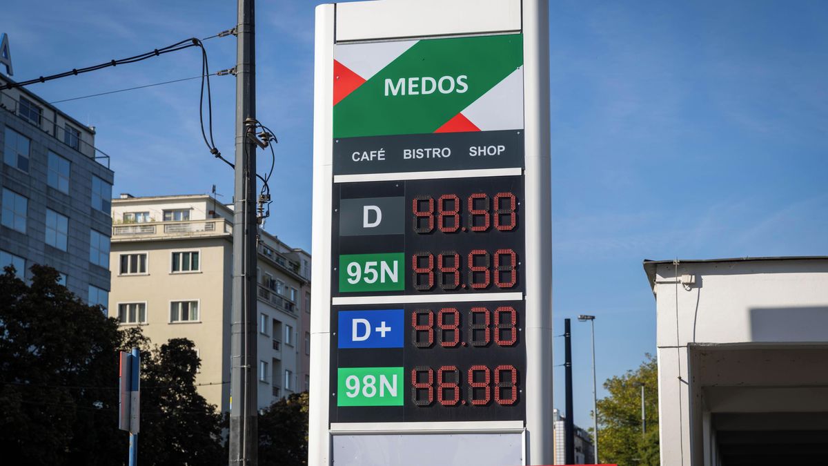 Vláda nás znovu nutí prodávat pod cenou, říkají malí čerpadláři