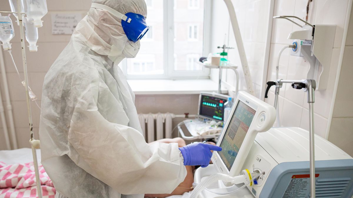 V Rusku se údajně objevila nákaza morem. Úřady tutlají detaily