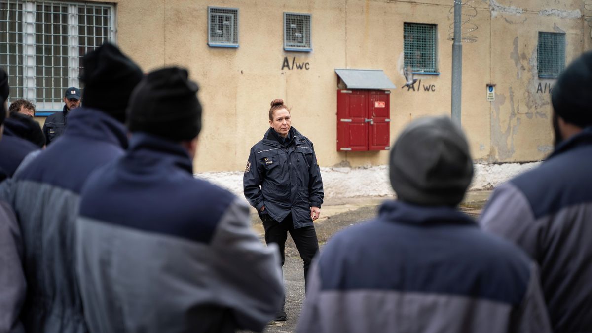 Recenze: Oddíl B od Prušinovského a Kolečka předčí většinu českých seriálů