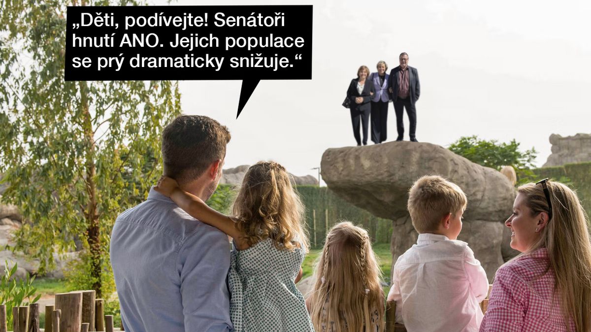TMBK: Hnutí ANO po volbách řeší, co dál