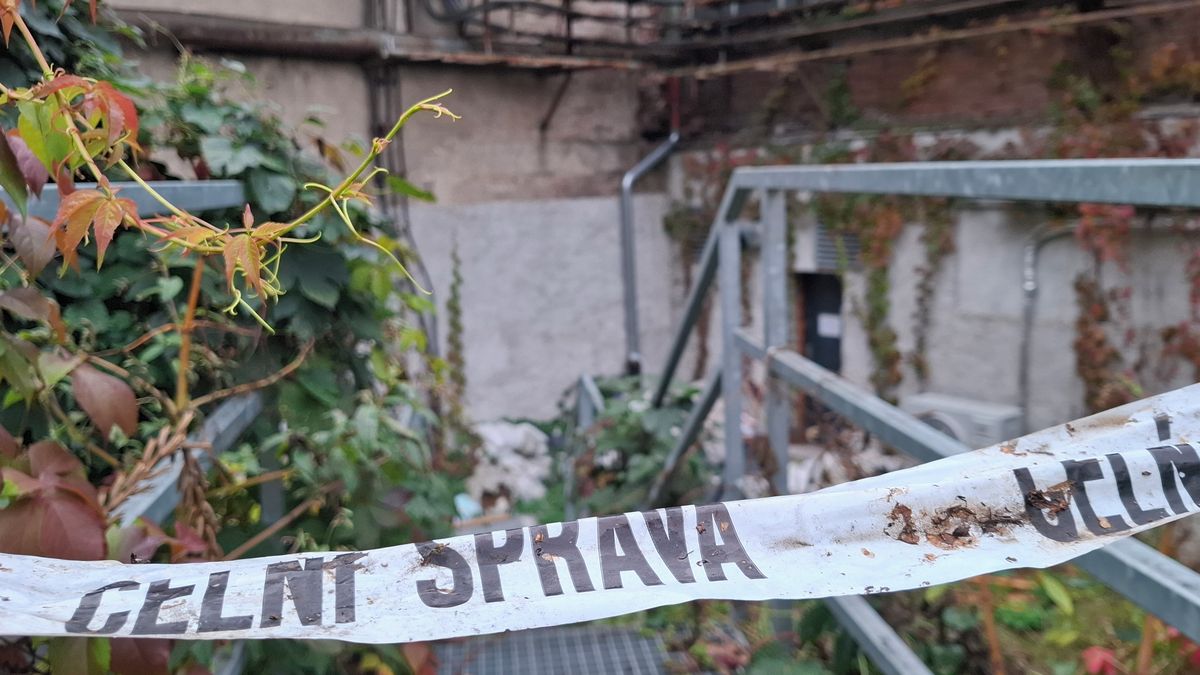Příšerný zážitek, spoutali i mého zákazníka, líčí truhlář protidrogový zátah