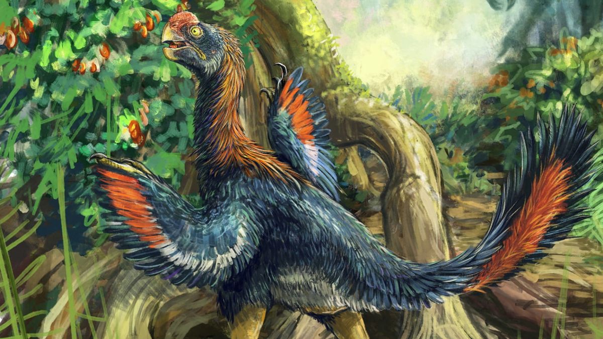 Vědci popsali nový druh dinosaura. „Pekelné kuře“ se živilo ovocem